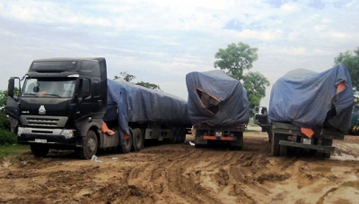 Thanh Hóa xử lý ba xe chở gỗ quá 50 tải trọng